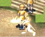 222.jpg