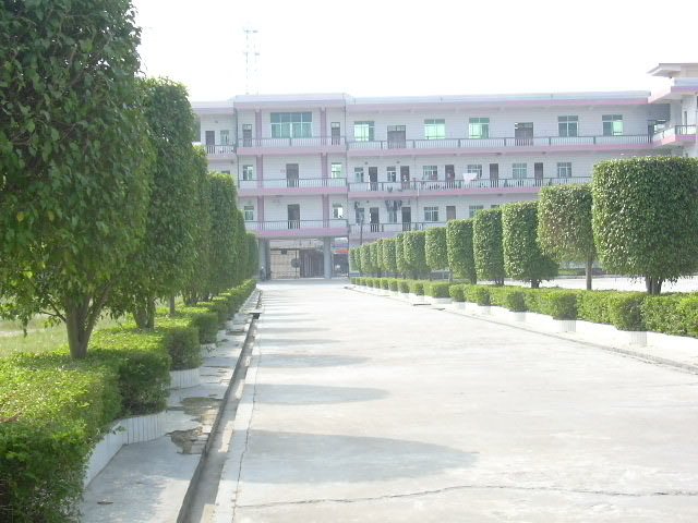 校门2.jpg