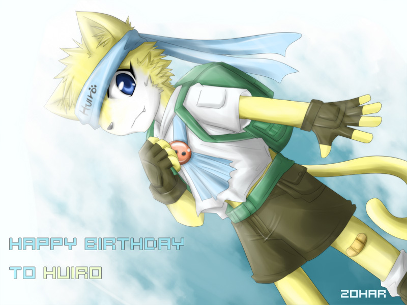 柴猫生日小.jpg