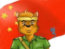 【图】我是一只热爱祖国的游击熊