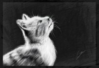 我的photoshop Cs6 作品集完全绘画作品