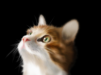 绘画逼真的猫咪