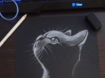 手绘，画了个猫猫