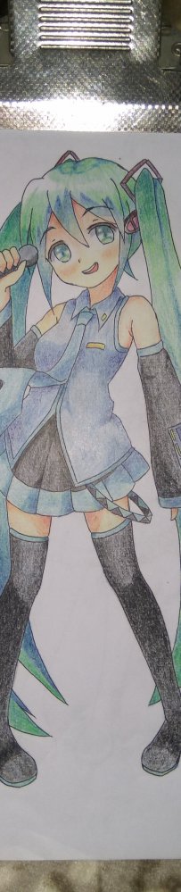 彩铅练习