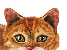 我又画了个猫 不懂美吗？