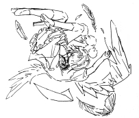鱼