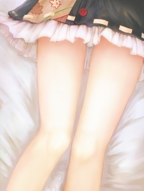 【搬运】2013.1.13 shameimaru_aya (射命丸文)