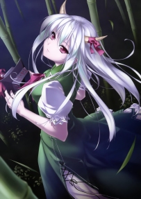 幻想乡大集合 精美收集 萌大乃~