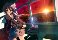 26 kagome