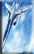 VF-25弥赛亚